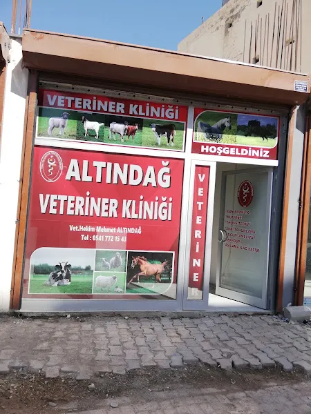 ALTINDAĞ veteriner kliniği foto 2