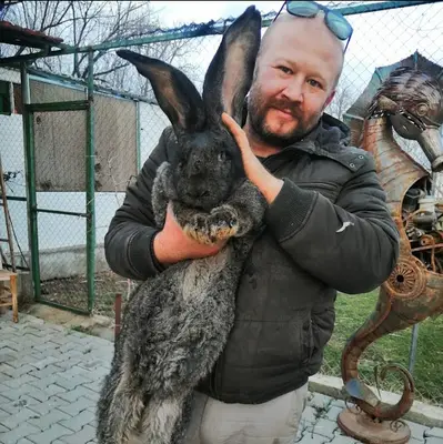 Banazlı Ramazan Tavus Kuşu ve Egzotik Hayvanlar Çiftliği fotoğrafı