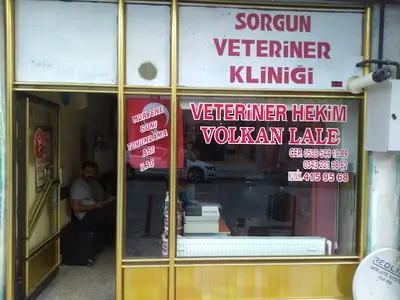 Sorgun Veteriner Klıniği