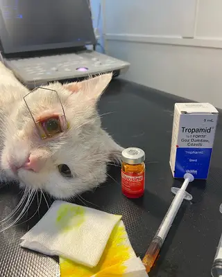 Hayat Veteriner Kliniği