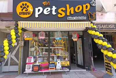 Ayder Pet Shop