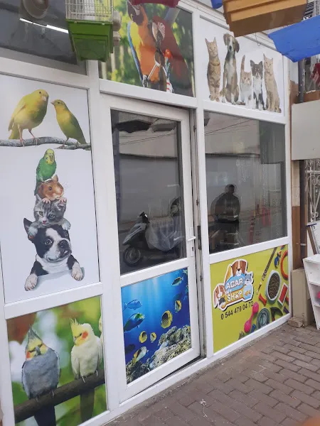 Acar Petshop ödemiş foto 1