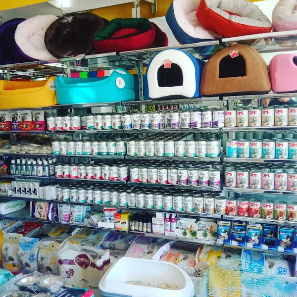 Çubuk petshop foto 2