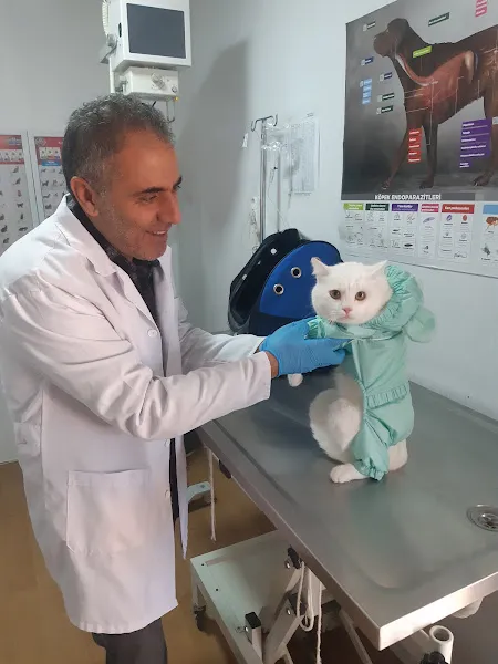 Merkez Veteriner Kliniği foto 2