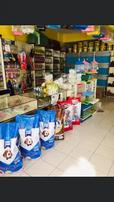 zile yağız petshop