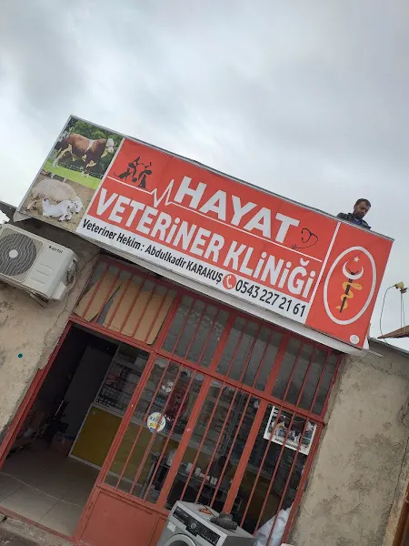 Hayat Veteriner kliniği foto 1