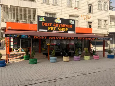 Dost akvaryum petshop fotoğrafı