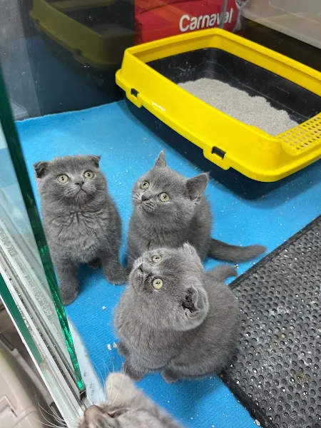 Dost akvaryum petshop foto 2