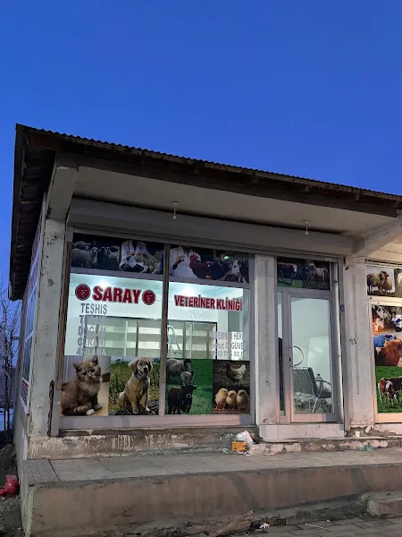 Saray Veteriner Kliniği foto 2