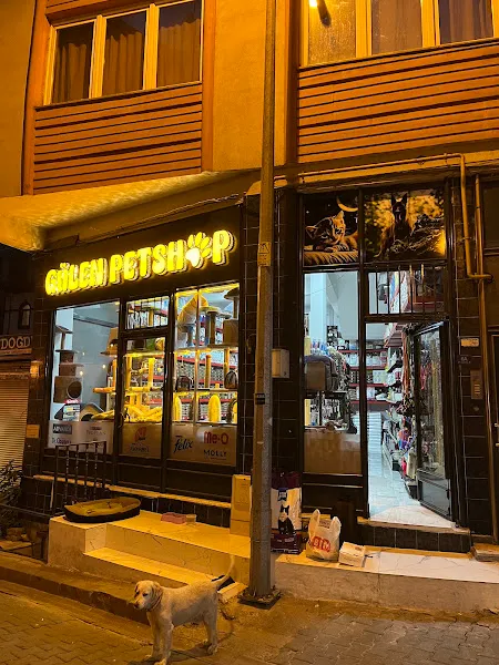 Gülen Petshop foto 2