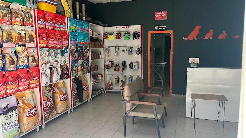 Kulavet kliniği foto 2