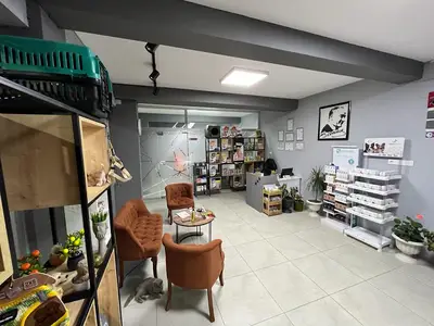 Cat And Dog's Evcil Hayvan Kliniği salihli