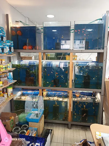 Petshop foto 2