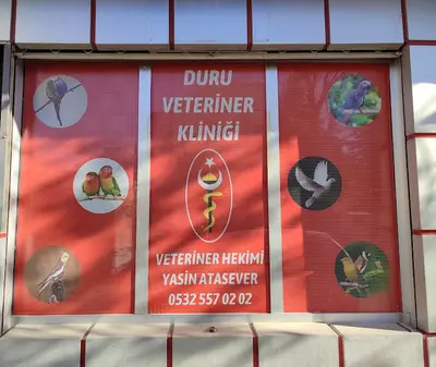 Duru Veteriner Kliniği/Kanatlı hayvan kliniği/duruveteriner(instagram)