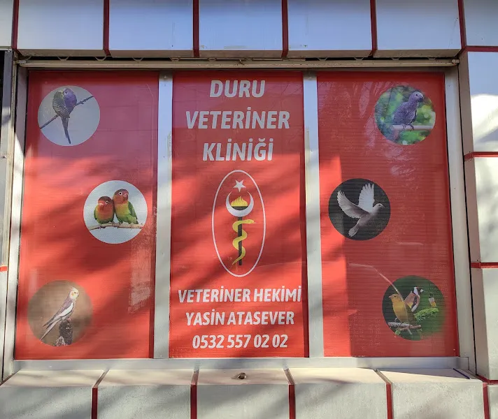 Duru Veteriner Kliniği/Kanatlı hayvan kliniği/duruveteriner(instagram) foto 1