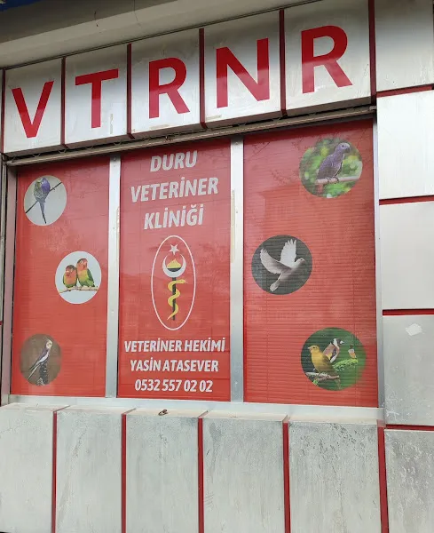 Duru Veteriner Kliniği/Kanatlı hayvan kliniği/duruveteriner(instagram) foto 2