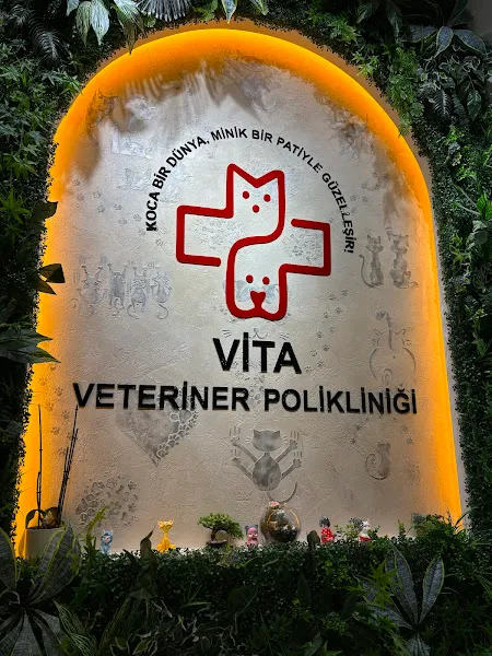 VİTA ESKİŞEHİR VETERİNER POLİKLİNİĞİ foto 1