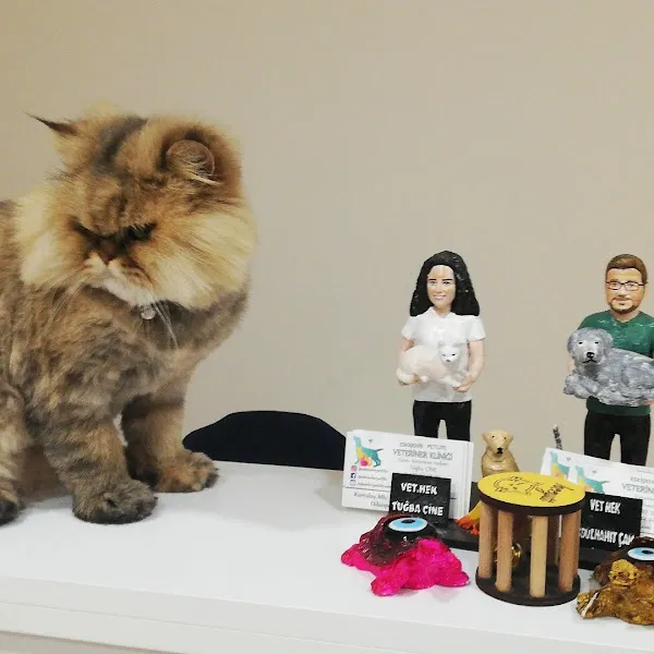 Eskişehir PetLife Veteriner Polikliniği foto 2