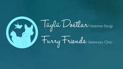 Tüylü Dostlar Veteriner Kliniği