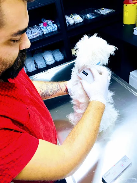 Hekim Veteriner Kliniği | Veteriner İzmir | Kuş Veterineri | Egzotik Veteriner foto 2