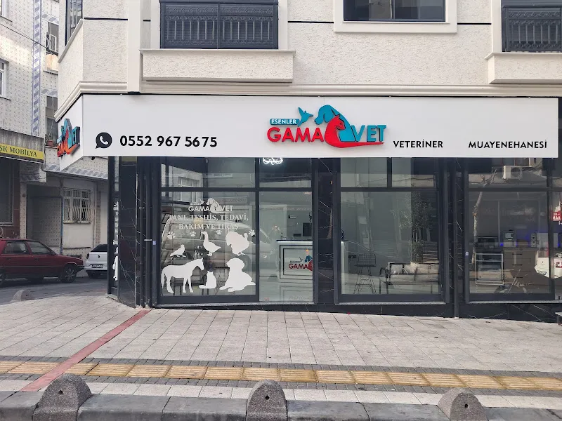 ACİL 7/24 ESENLER GAMAVET VETERİNER MUAYENEHANESİ foto 2