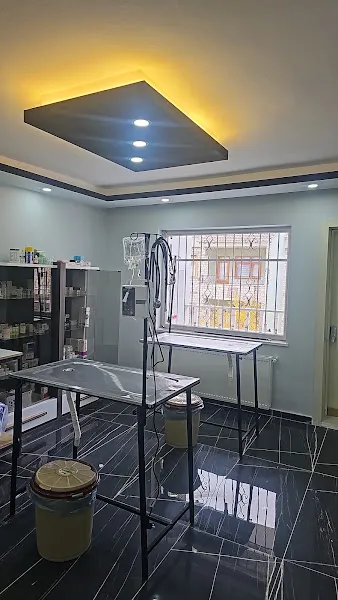 Patika Veteriner Kliniği | Elazığ Veteriner | Elazığ Veteriner Kliniği foto 2