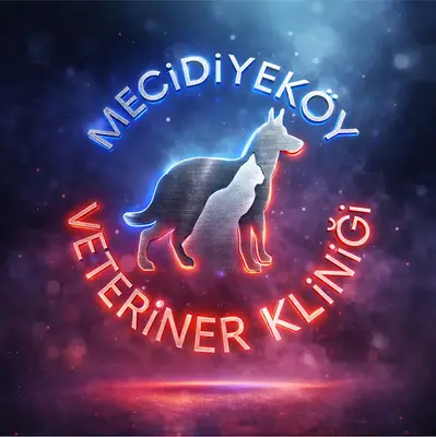 Mecidiyeköy Veteriner Kliniği