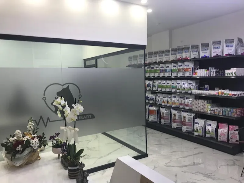 Petheart Sakarya 24 Saat Açık Acil Nöbetçi Veteriner Kliniği - Adapazarı foto 2