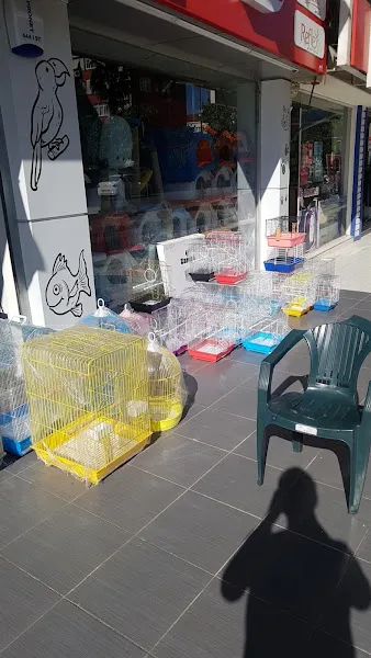 Doğan PetShop-1 (Güllük) foto 2