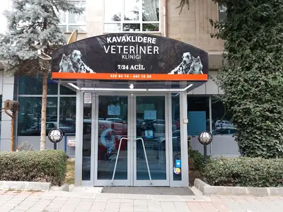 Kavaklıdere Veteriner Kliniği