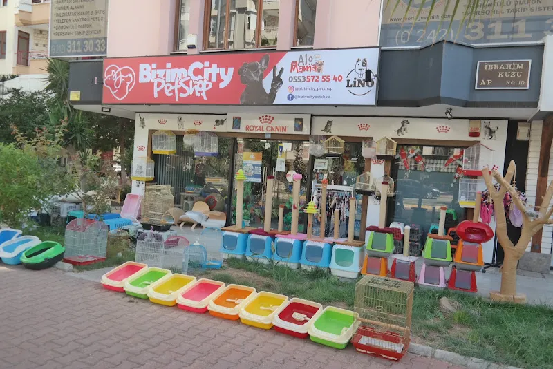 Bizim City Petshop foto 1