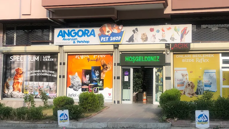 Angora Akvaryum & Petshop foto 1