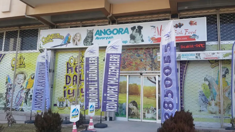 Angora Akvaryum & Petshop foto 2