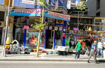 İnci Petshop