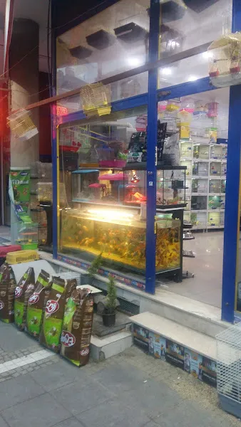 İnci Petshop foto 2