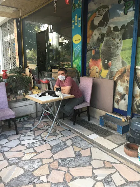 Mozaik Petshop foto 2