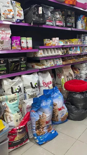 ASLAN PETSHOP FATİH/AKSARAY/CERRAHPAŞA foto 2