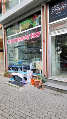 Halikarnas Akvaryum