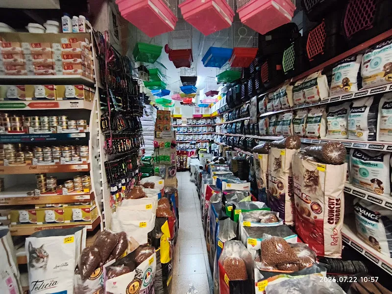 Köylü Akvaryum Petshop foto 2