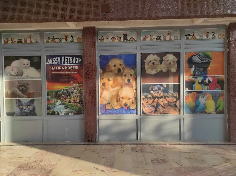 Missy Pet Shop foto 2