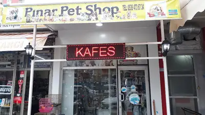 Pınar Petshop