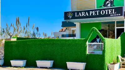 Lara Pet Otel fotoğrafı