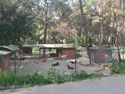 Antalya Büyükşehir Belediyesi Yeni Sahipsiz Hayvan Geçici Bakımevi fotoğrafı