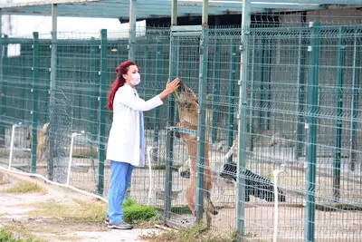Muratpaşa Belediyesi Ermenek Sokak Hayvanları Geçici Bakımevi ve Rehabilitasyon Merkezi fotoğrafı