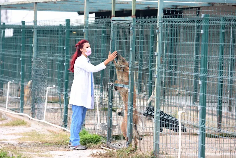 Muratpaşa Belediyesi Ermenek Sokak Hayvanları Geçici Bakımevi ve Rehabilitasyon Merkezi foto 1