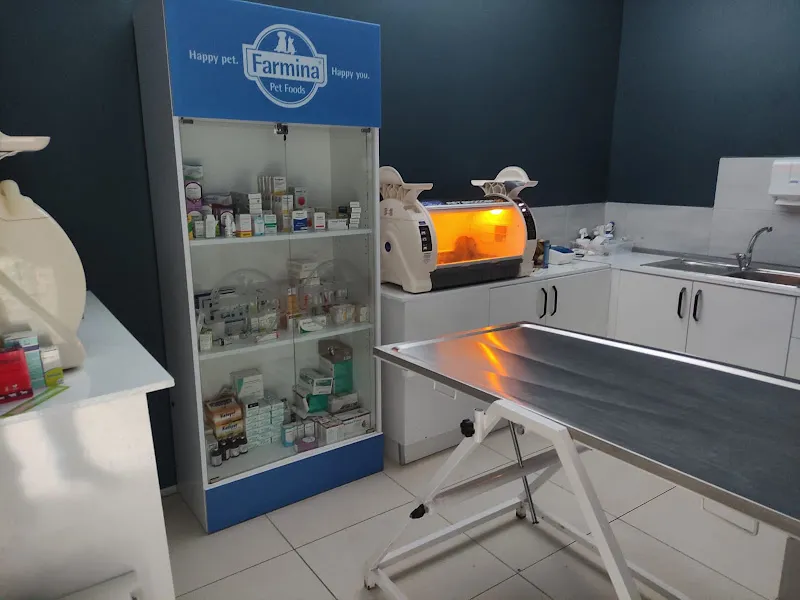 ÇANAKKALE VEGA PET VETERİNER KLİNİĞİ foto 2