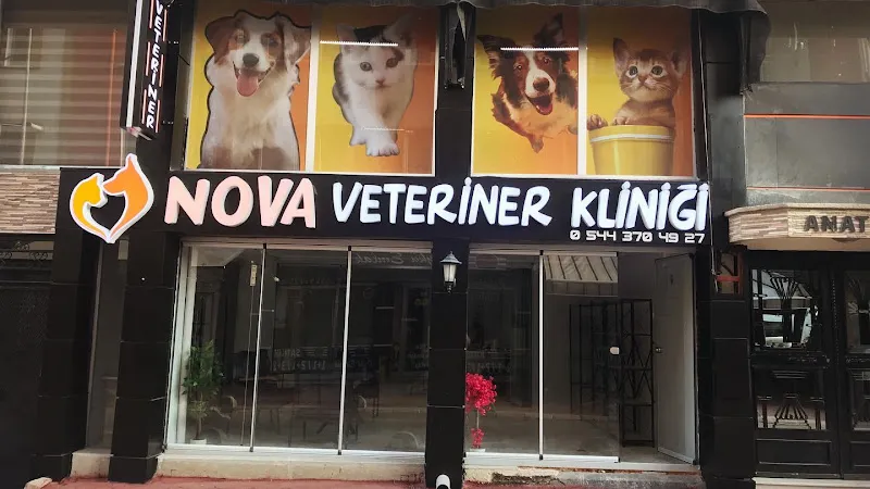 NOVA Veteriner Kliniği foto 1