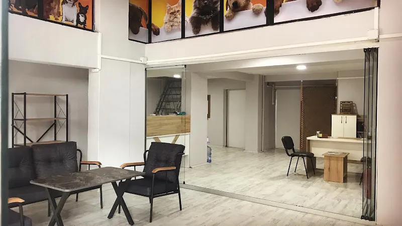 NOVA Veteriner Kliniği foto 2