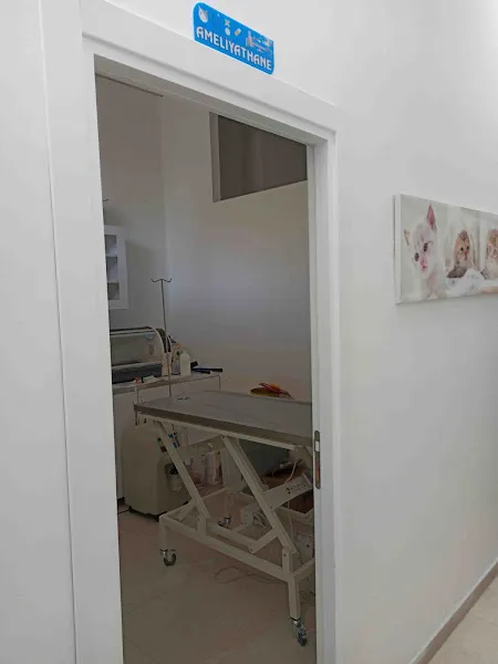 Atasehir Veteriner Kliniği- Veteriner Hekim Ahmet Özçelik foto 1