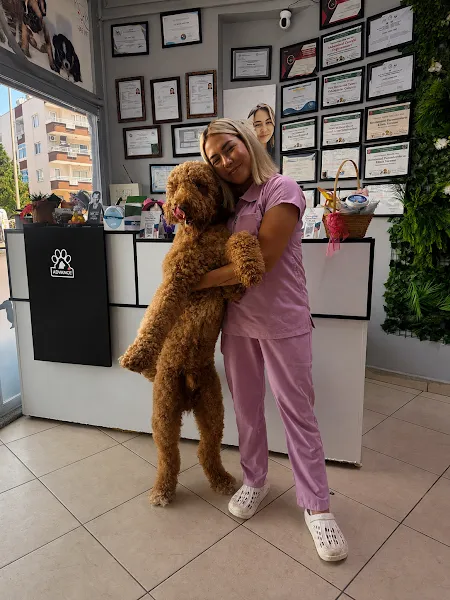 Has Veteriner Kliniği foto 2